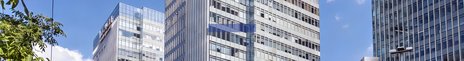 ব্যানার